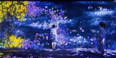 teamLab——风靡全球的沉浸式网红展项体验！