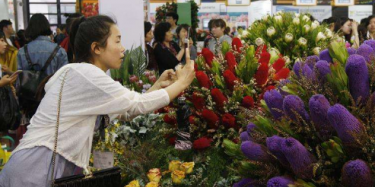 第19届中国国际花卉园艺展览会上海举办
