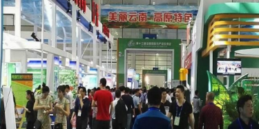 农交会11月将举行