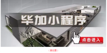 毕加邂逅小“情人”，那就再爱一次吧
