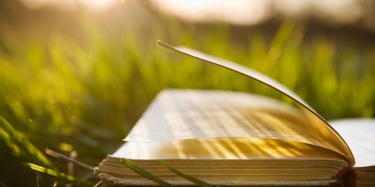 2017南国书香节暨羊城书展8月开幕