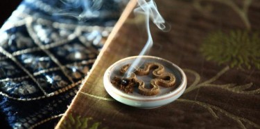 第七届香博会将于12月在东莞举行 展会面积超5万