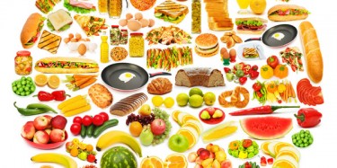 展览设计公司介绍上海近期展会——2016上海绿色有机食品展