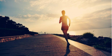 展览制作工厂预告：2017深圳国际体育博览会