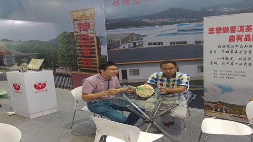 Bijia exhibition booster Shenyi tea tea Fair Chinese onslaught
