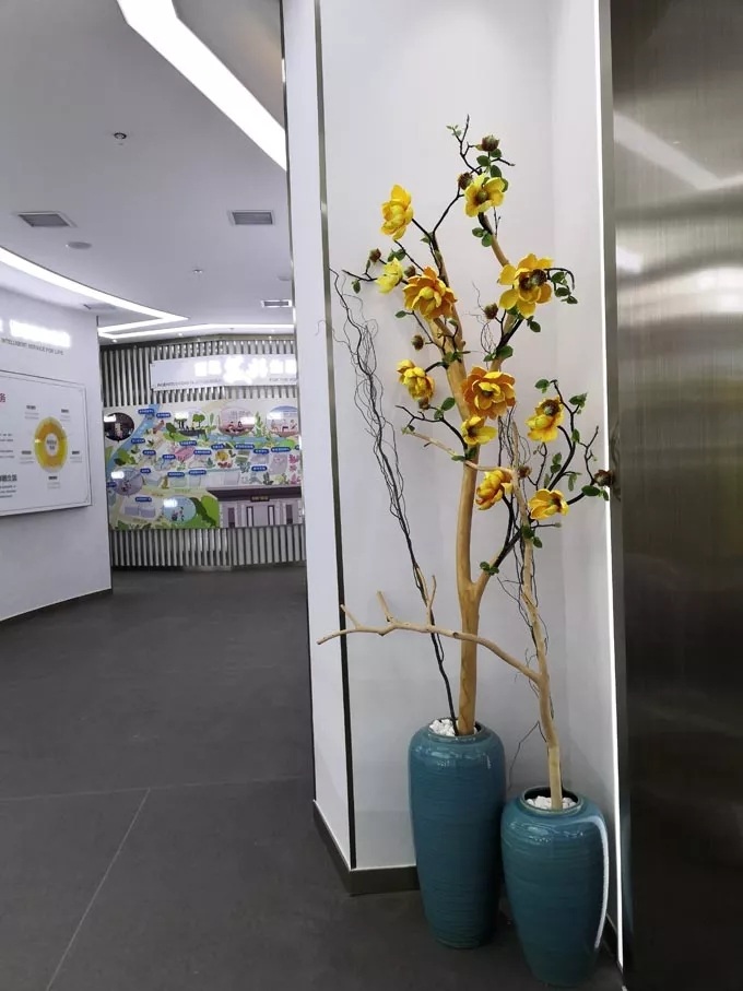 友谊阿波罗—企业展厅案例 友谊阿波罗—企业展厅案例